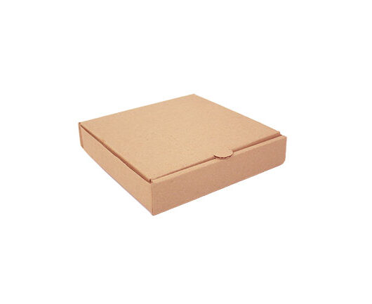 caja pizza 22 cm